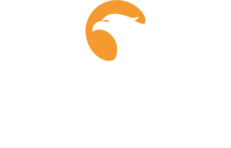 OVEREX TECNOLOGIA